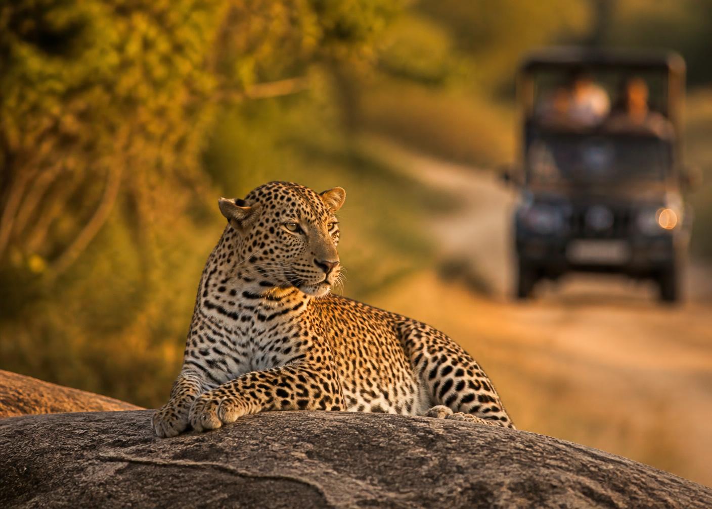 Yala National Park Σρι Λάνκα